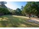 Large backyard with lush lawn and mature tree at 1022 Washington Ave, Woodstock, GA 30188