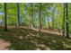 Spacious backyard featuring lush greenery and mature trees create a private and peaceful outdoor space at 3500 Quinn Ridge Dr, Snellville, GA 30039