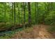 Peaceful creek running through a wooded area with a trail beside it at 915 Rocky Creek Rd, Hampton, GA 30228