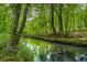 Serene creek running through lush green woods at 915 Rocky Creek Rd, Hampton, GA 30228