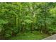 View of a lush, green forest from a deck at 915 Rocky Creek Rd, Hampton, GA 30228