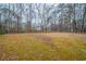 Large grassy backyard surrounded by mature trees, providing a private and serene setting at 270 Merrydale Dr, Fayetteville, GA 30215