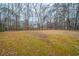 Expansive backyard featuring towering trees and lush ground cover, creating a tranquil outdoor space at 270 Merrydale Dr, Fayetteville, GA 30215