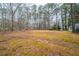 Large backyard featuring mature trees, offering privacy and ample space for outdoor activities at 270 Merrydale Dr, Fayetteville, GA 30215