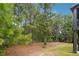 Backyard view with treeline at 4566 Town Manor Dr, Douglasville, GA 30135