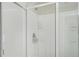 Bright bathroom with a large shower stall and modern fixtures at 11997 Lovejoy Crossing Way, Hampton, GA 30228