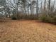 A large backyard covered in fallen leaves and scattered trees at 40 Brandon Dr, Covington, GA 30016