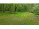 Spacious lot with lush grass and mature trees offers a serene and private setting, with ample space for outdoor activities at 4156 Holly Springs Rd, Rockmart, GA 30153