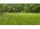 Lush lot featuring manicured lawn and mature trees offering a private and picturesque setting at 4156 Holly Springs Rd, Rockmart, GA 30153