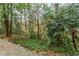 View of wooded pathway surrounded by ground cover and tall trees at 20 Ivy Ne Rdg, Atlanta, GA 30342