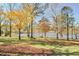 Lush backyard with mature trees and lake views, perfect for outdoor enjoyment at 205 Pine Knott Rd, Fayetteville, GA 30214