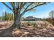 Picturesque common area features mature tree, swing, and view of community pool, perfect for outdoor relaxation at 2304 Isla Run, Woodstock, GA 30188