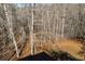 Aerial view of home's backyard showcasing dense, leafy trees and an open ground below at 3595 Mason Ridge Dr, Winston, GA 30187