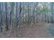 Large wooded area offers serene natural beauty at 645 Plainville Sw Dr, Atlanta, GA 30331