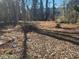 View of backyard revealing trees, debris, and a leaf-covered ground at 750 Alta Pl, Atlanta, GA 30318