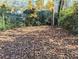 Large backyard with mature trees and foliage covered with fall leaves in the autumn sunshine at 1692 Shirley Sw St, Atlanta, GA 30310