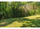Lush backyard with mature bamboo and towering trees for added privacy at 4230 Deerwood Se Pkwy, Smyrna, GA 30082