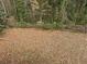A spacious backyard covered with leaves with a chain link fence and mature trees in the background at 4567 Duncan Dr, Sugar Hill, GA 30518