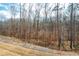 Scenic view of wooded backyard area with natural landscaping for privacy and tranquility at 4901 Pleasantry Nw Way, Acworth, GA 30101