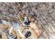 Aerial view of a residential home site surrounded by lush trees at 6225 Leeward Tide Ct, Cumming, GA 30041