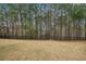 The spacious backyard with tall pine trees has a black metal fence surrounding the property at 4662 Creekside Villas Se Way, Smyrna, GA 30082