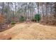 Large backyard with a stone fireplace, pizza oven, seating area, and wooded surroundings at 1050 Silver Thorne Dr, Loganville, GA 30052