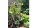 Lovely garden featuring potted plants, vegetable plants, and stone edging at 1050 Silver Thorne Dr, Loganville, GA 30052