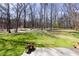Large backyard boasts a blend of grassy area and wooded space, enhanced by potted plants at 3641 Willow Club Dr, Loganville, GA 30052