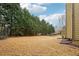 Lawn with a row of evergreen trees along the fence line and partial view of the house at 2382 Waterscape Trl, Snellville, GA 30078