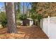 A charming shed sits amidst a lush yard, providing practical storage space with a touch of rustic charm at 3063 Peachtree Ne Dr, Atlanta, GA 30305