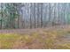 Natural backyard with mossy grass and a wooded area in the background at 2890 Ridgeview Sw Dr, Atlanta, GA 30331