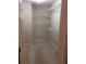 Walk-in closet with carpet and wire shelving at 2394 Elkhorn Ter, Duluth, GA 30096