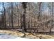 A wooded backyard with many trees and leaf-covered ground seen from a raised deck at 7382 Knox Bridge Hwy, Canton, GA 30114