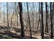 A lush and serene wooded backyard offering privacy and a connection with nature at 7382 Knox Bridge Hwy, Canton, GA 30114