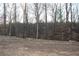 View of the land featuring trees, mud, and dead leaves at 7382 Knox Bridge Hwy, Canton, GA 30114