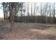 View of the land featuring trees and dead leaves with a wooden fence at 7382 Knox Bridge Hwy, Canton, GA 30114