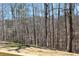 A wooded backyard with many trees and leaf-covered ground seen from a wooden deck at 7382 Knox Bridge Hwy, Canton, GA 30114