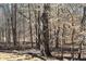 Image of a wooded backyard landscape, with a number of leafless trees and leaf covered ground at 7382 Knox Bridge Hwy, Canton, GA 30114