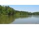 Picturesque lake view surrounded by lush greenery, offering a serene and scenic escape at 7382 Knox Bridge Hwy, Canton, GA 30114