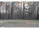 Wooded land shows the potential for building a dream home in a private and serene setting at 7382 Knox Bridge Hwy, Canton, GA 30114