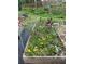 An elevated garden bed filled with yellow, white, and purple flowers. Metal supports stand to the rear of the garden box at 437 Westmeath Sw Dr, Atlanta, GA 30310