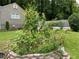 Well-kept garden featuring flowers, sunflowers, and beehives, complemented by a lush green lawn at 437 Westmeath Sw Dr, Atlanta, GA 30310