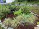 Lush herb garden featuring a variety of plants and textures with mulch and stone accents at 437 Westmeath Sw Dr, Atlanta, GA 30310