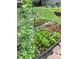 Vegetable garden with raised beds and supportive trellises for healthy plants to grow in at 437 Westmeath Sw Dr, Atlanta, GA 30310