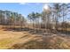 Expansive backyard with a dark wooden fence surrounding the property at 1721 Mcgarity Rd, Temple, GA 30179