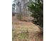 A backyard with mature trees and foliage at 5435 Hearn Rd, Ellenwood, GA 30294