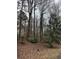 A wooded lot with mature trees and leafy ground cover at 5435 Hearn Rd, Ellenwood, GA 30294