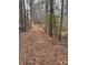 View of private land and a tree-lined dirt road on a wooded property at 5435 Hearn Rd, Ellenwood, GA 30294