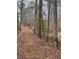 A wooded lot with mature trees and foliage at 5435 Hearn Rd, Ellenwood, GA 30294