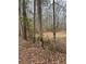 A wooded lot with mature trees and foliage at 5435 Hearn Rd, Ellenwood, GA 30294